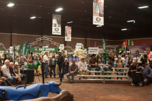 bleachers at corporate event