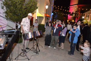 steel drum player