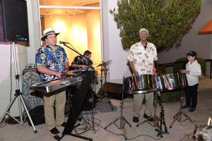 steeldrum and keyboard player